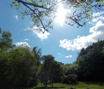 Glenpatrick Bridge Walk