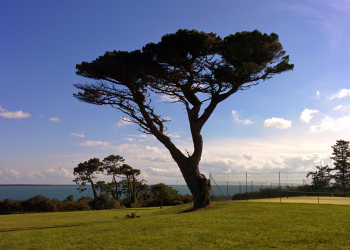Dunmore East Waterford