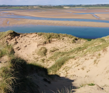 Sand Dunes Tramore
