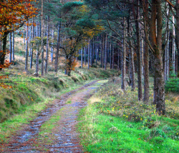 An Rathbeag Waterford