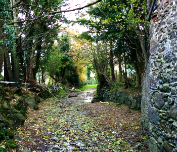 Coumduala Loop Waterford