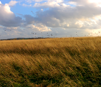 Waterford Nature Park