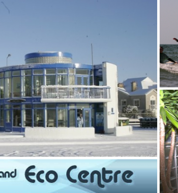 T Bay Surf & Eco Centre
