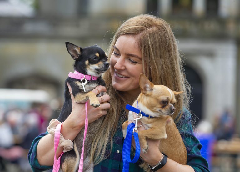 Waterford Country Fair a Great Success Waterford in Your Pocket