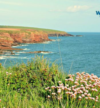 Dunmore to Portally Cove Coastal Walk