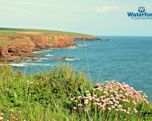 Dunmore to Portally Cove Coastal Walk