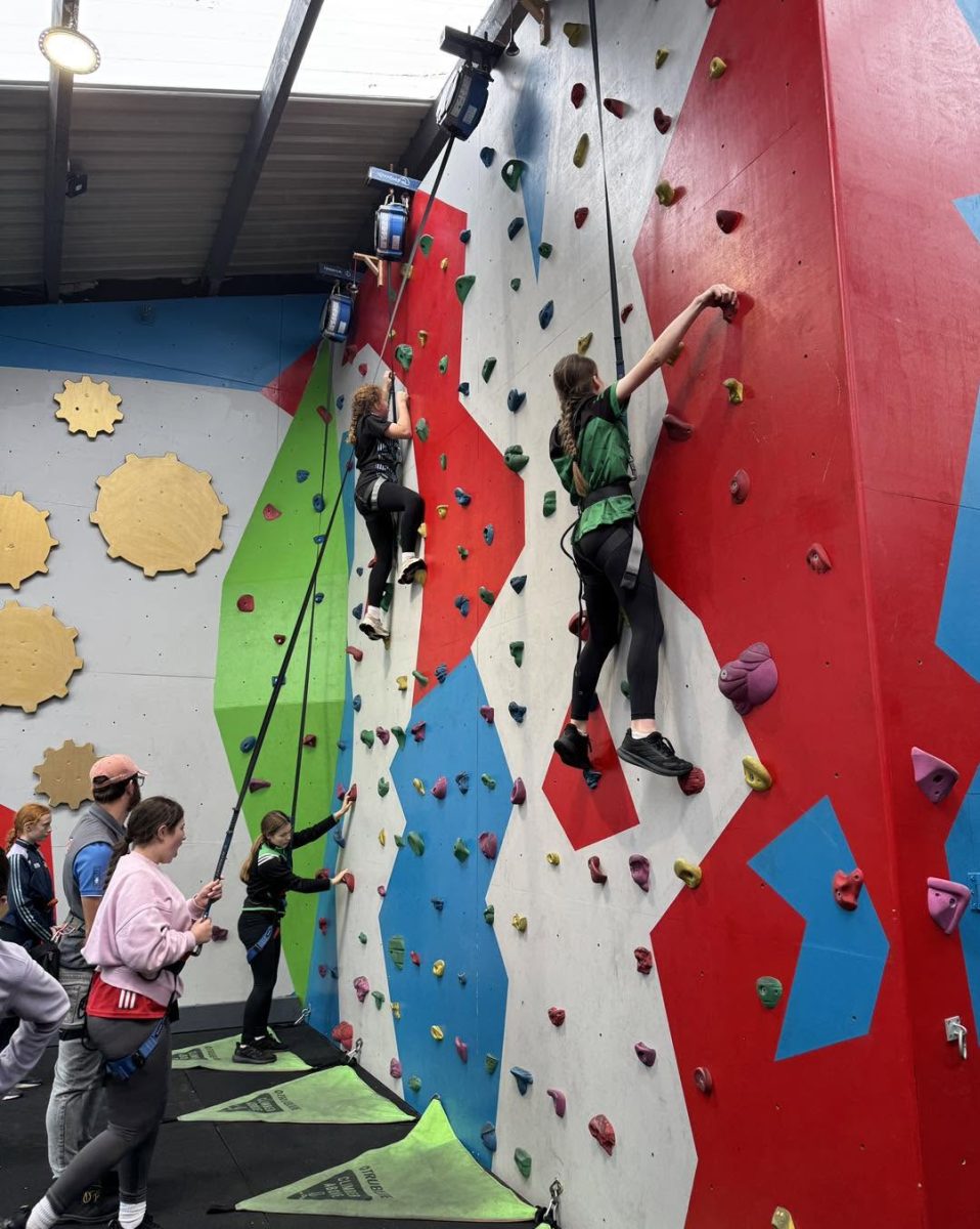 Kayaking and outdoor adventure activities at Dunmore Adventure in Dunmore East, County Waterford