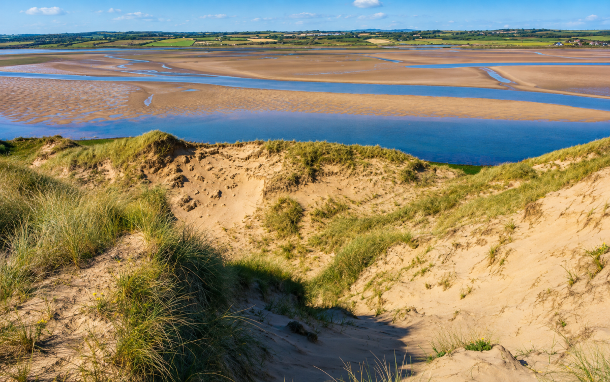 Sand dunes and coastal landscape beside Tramore Beach in County Waterford