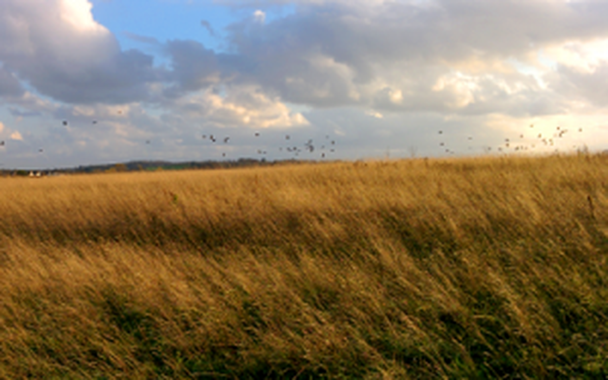 Waterford Nature Park