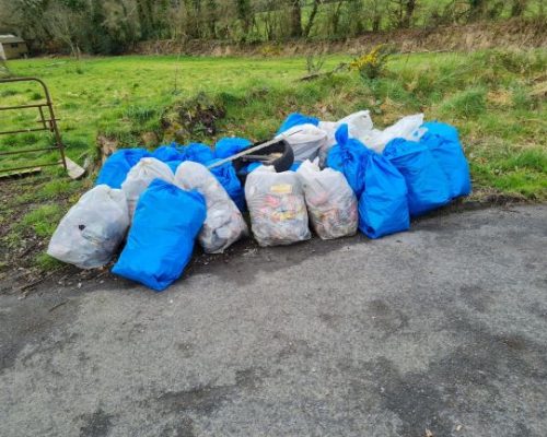 Beauty Dies Where Litter Lies