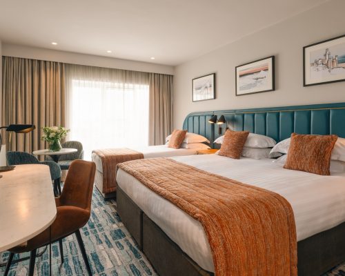 Viking Hotel Waterford