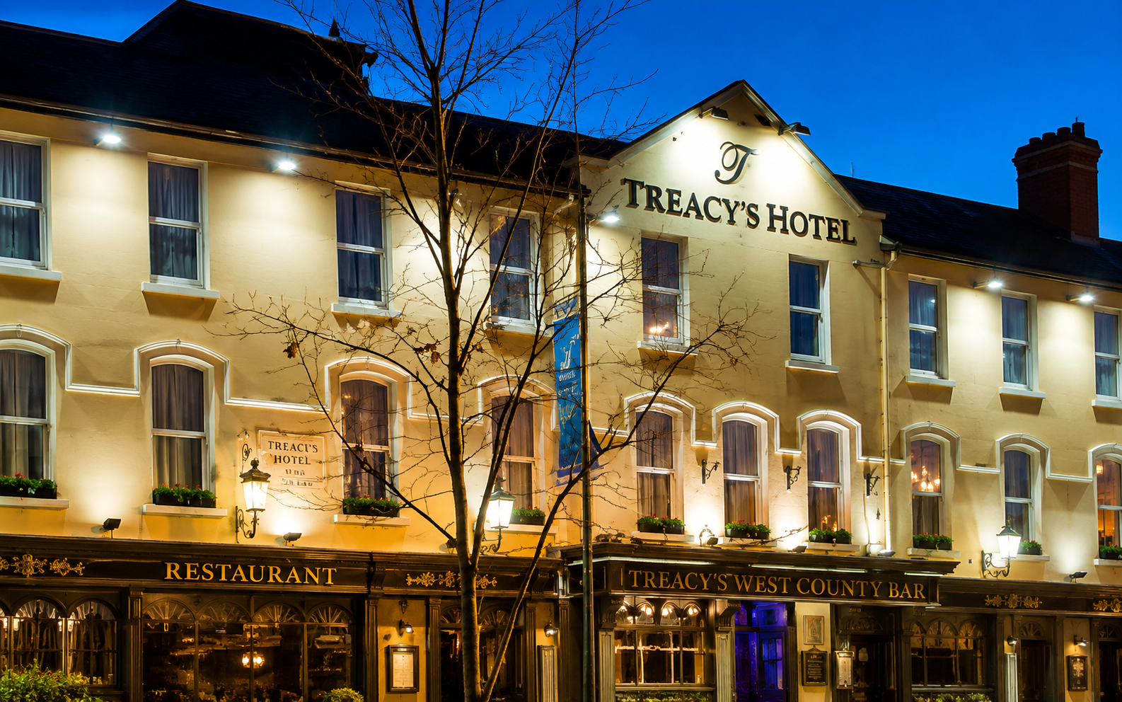 Treacys Hotel