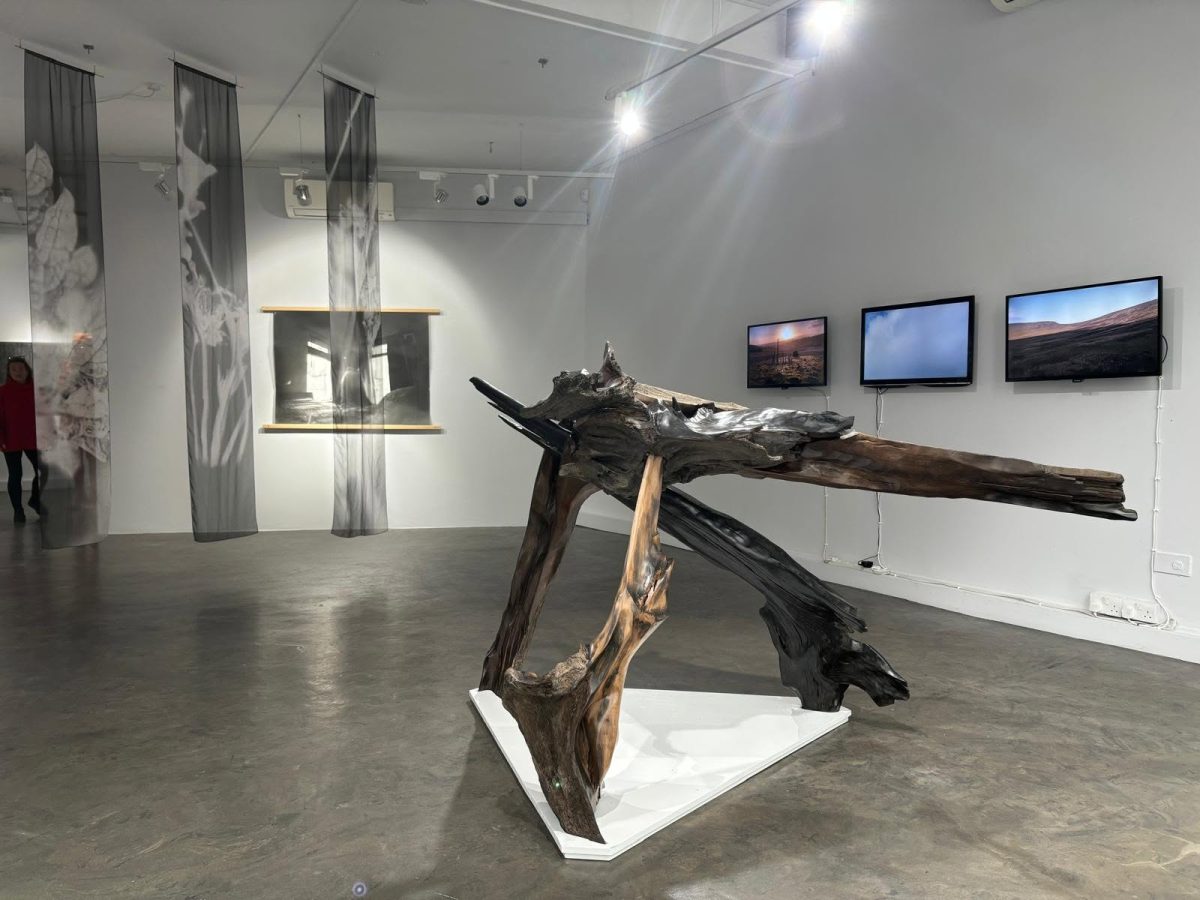 GOMA Gallery of Modern Art on Lombard Street in Waterford City