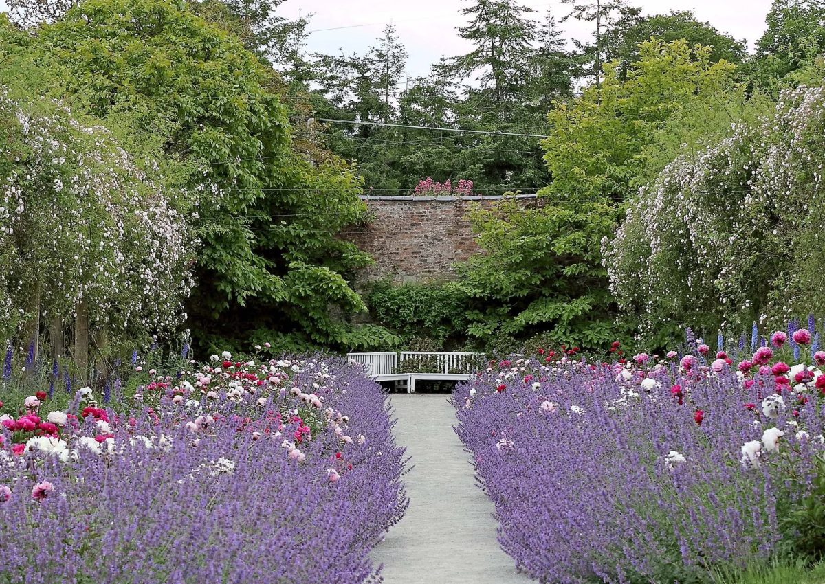 Mount Congreve