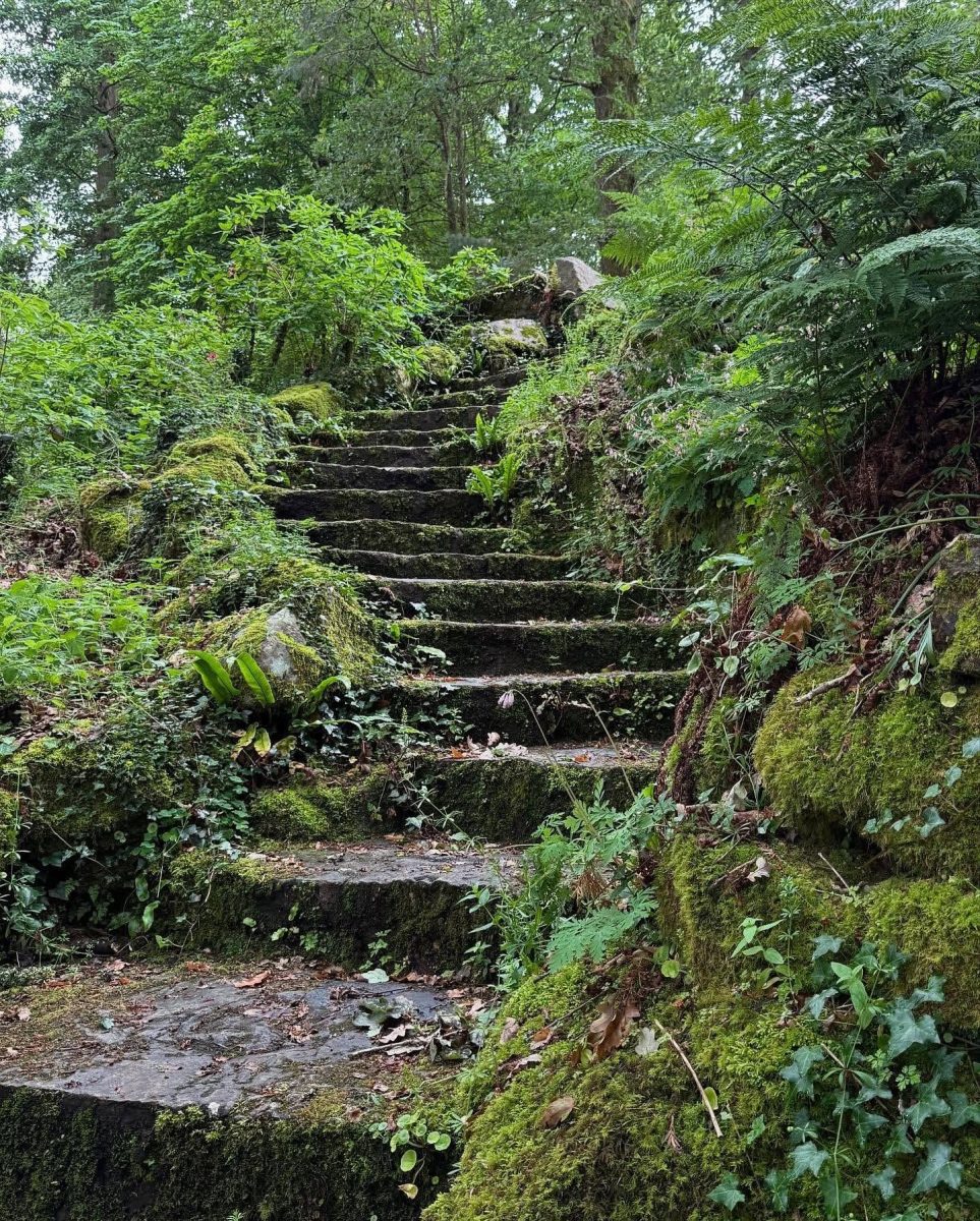 Mount Congreve