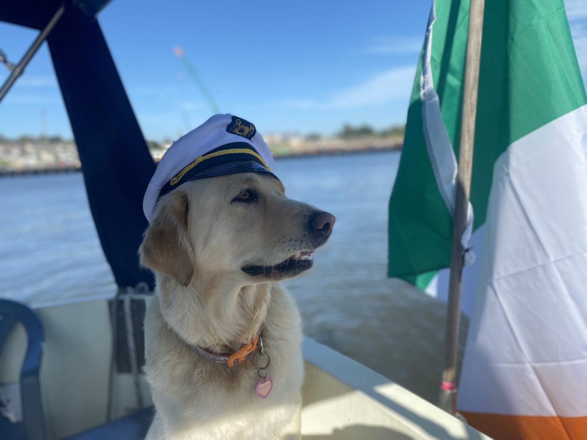 Passengers aboard Osprey Viking Cruises in Waterford