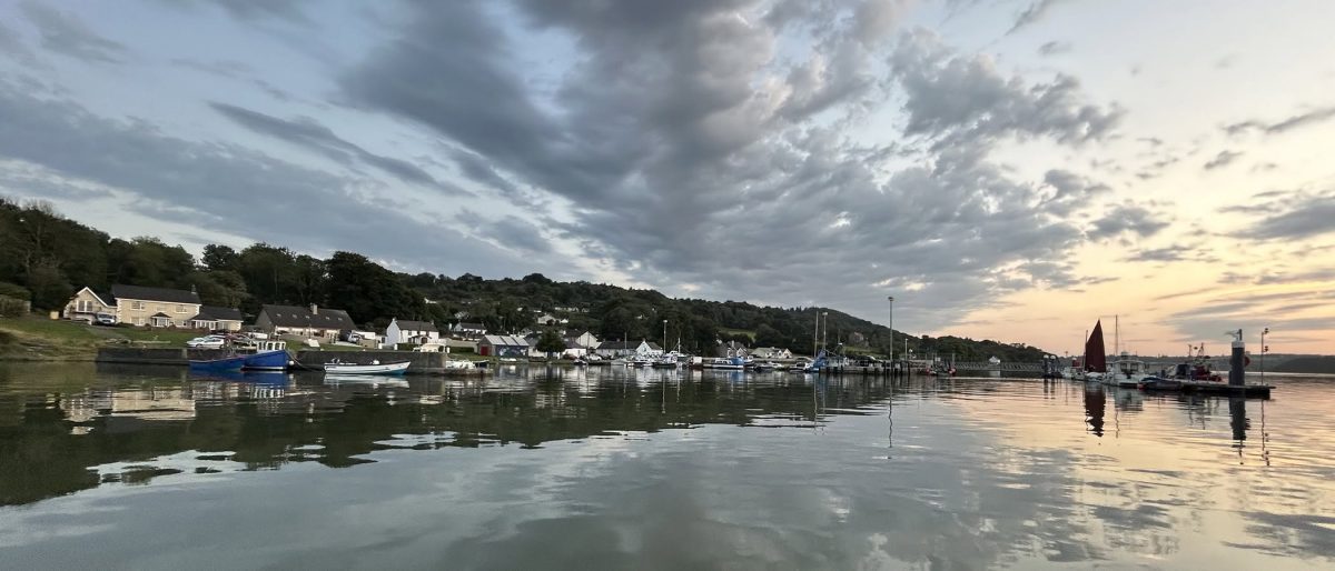 River Suir views from Osprey Viking Cruises